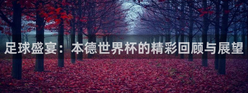 西超杯直播：足球盛宴：本德世界杯的精彩回顾与展望
