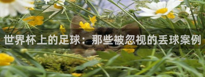 世界杯预选赛欧洲区赛程：世界杯上的足球：那些被忽视的丢球案例