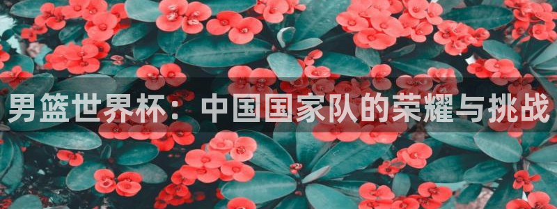 世界杯预选赛欧洲区赛程：男篮世界杯：中国国家队的荣耀与挑战