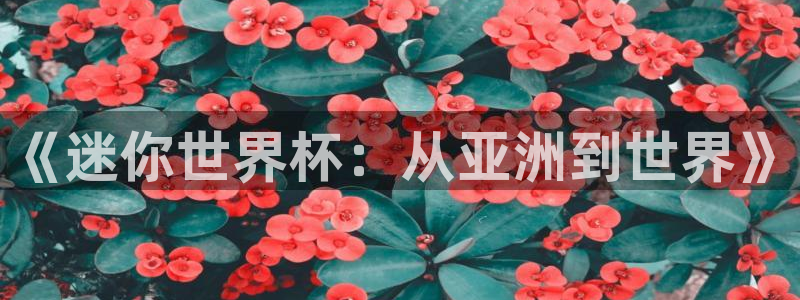 今年的世界杯：《迷你世界杯：从亚洲到世界》