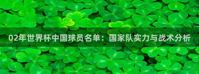 亚洲杯足球：02年世界杯中国球员名单：国家队实力与战术分析