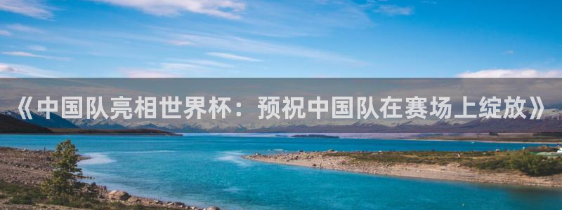 世界杯足球2026：《中国队亮相世界杯：预祝中国队在赛场上绽放》