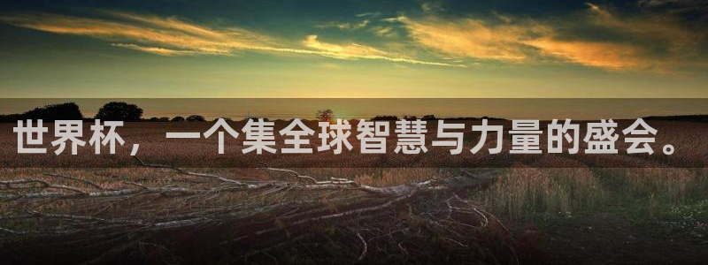 世界杯预选赛欧洲：世界杯，一个集全球智慧与力量的盛会。