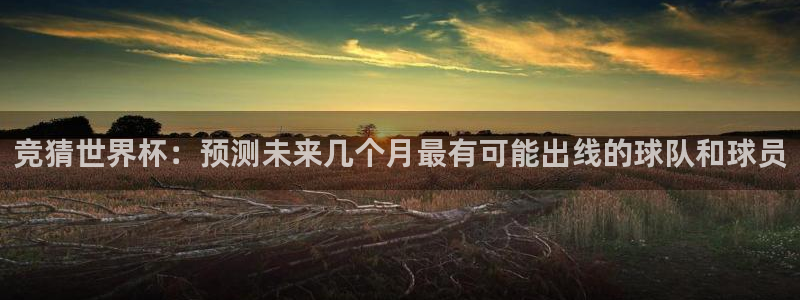 世界杯直播网：竞猜世界杯：预测未来几个月最有可能出线的球队和球员