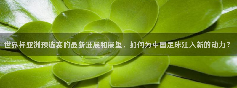 世界杯欧洲区预选赛赛程：世界杯亚洲预选赛的最新进展和展望，如何为中国足球注入新的动力？