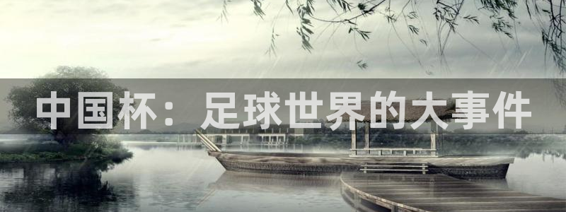 今年的世界杯：中国杯：足球世界的大事件