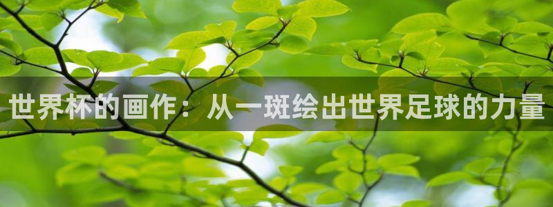 2026世界杯直播免费观看：世界杯的画作：从一斑绘出世界足球的力量